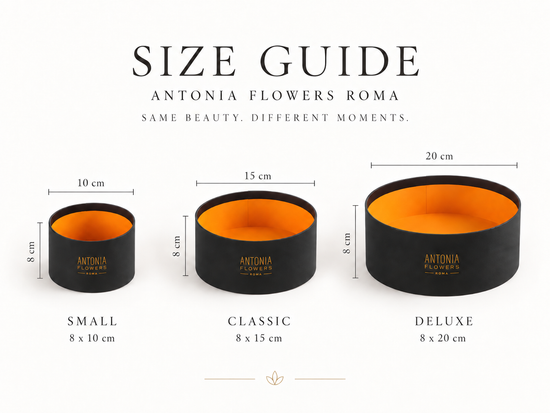 Guida alle dimensioni delle Flower Box Antonia Flowers Roma: Small Classice Deluxe  nera
